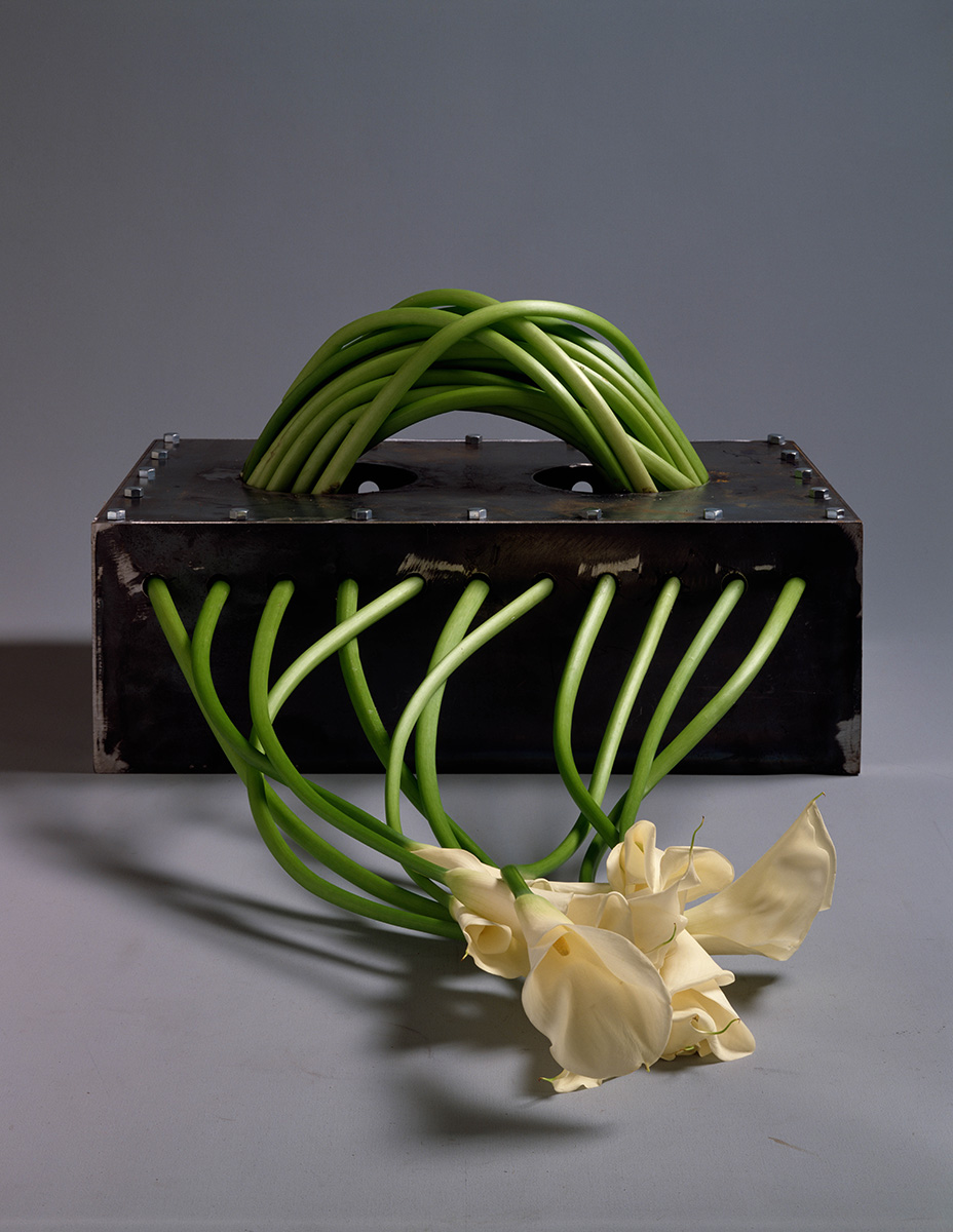 怪芋Ⅰ（1978） 大坪光泉（いけばな作家）