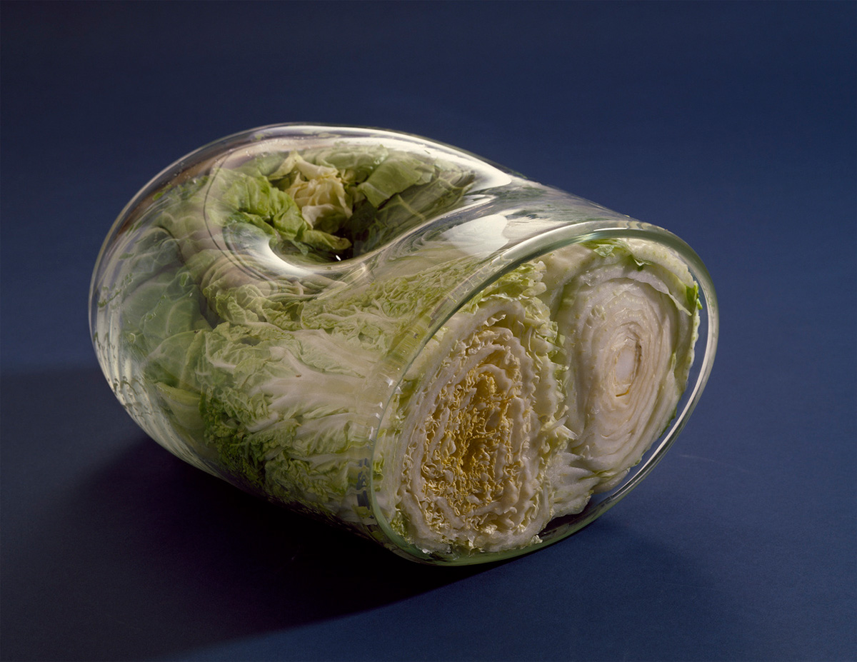 Kosen Ohtsubo《》(1979)