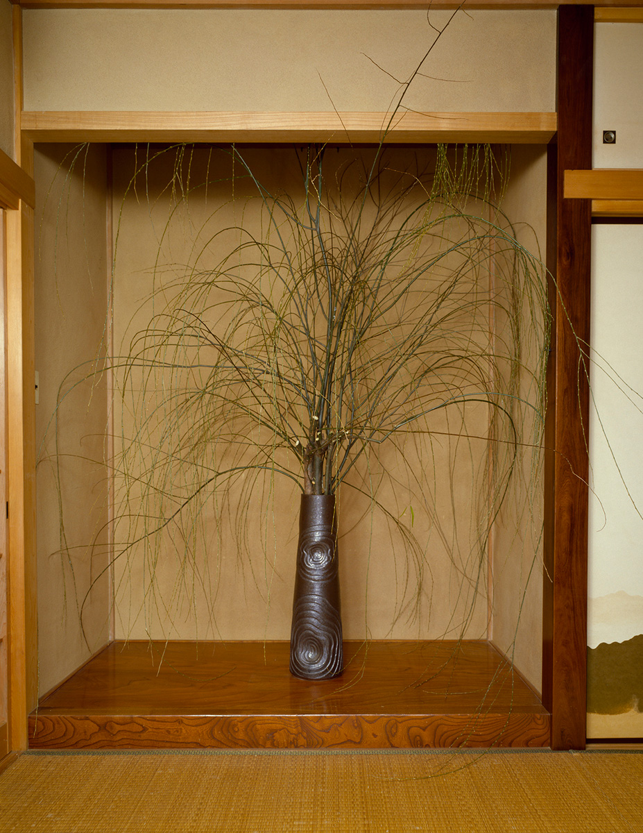 Kosen Ohtsubo《Untitled (Willow in Tokonoma)》(1983)