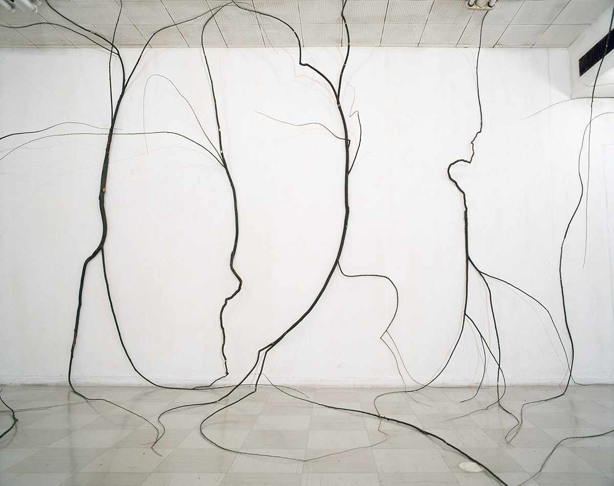 Kosen Ohtsubo《A Room Inhabited by Willows》(1987)