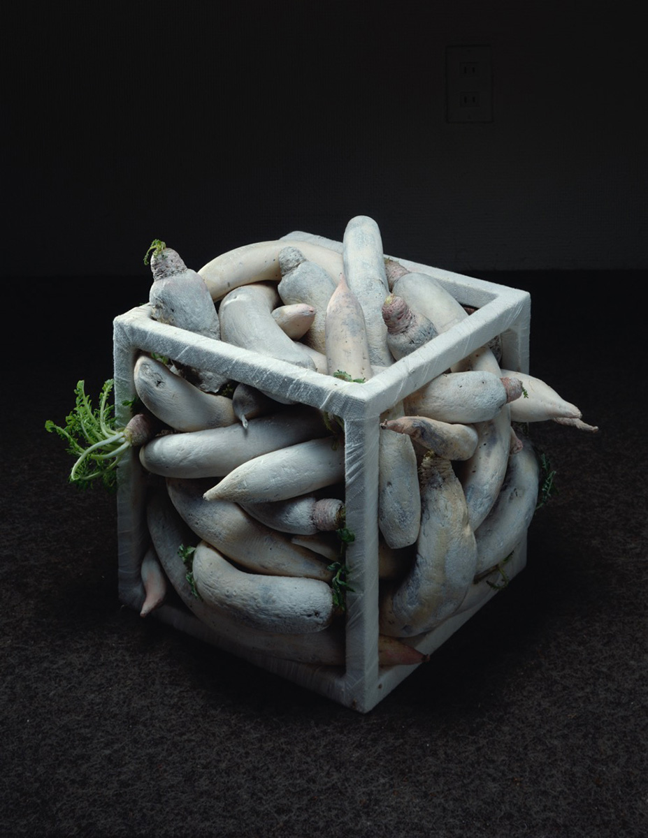 マンジ固めされた大根（1989） 大坪光泉（いけばな作家）