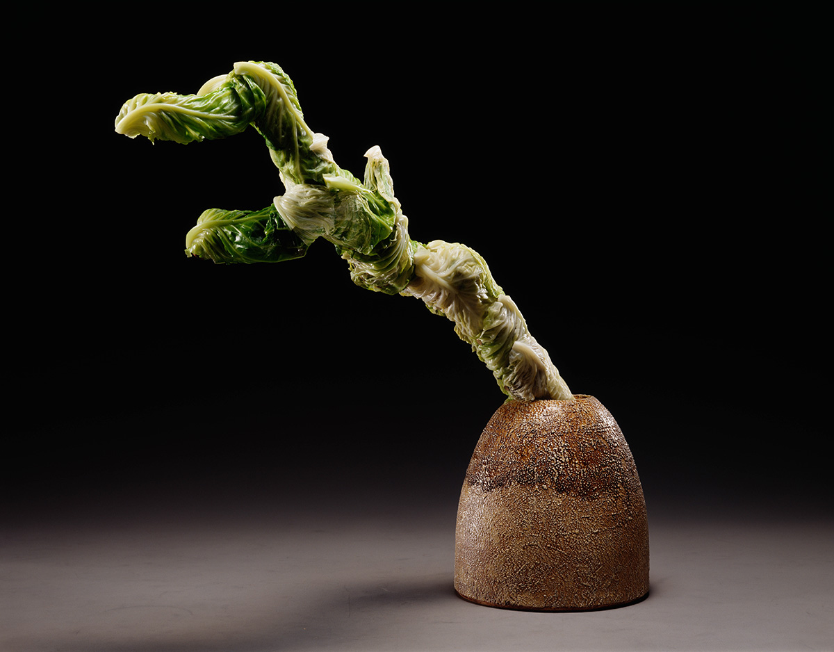 Kosen Ohtsubo《Rolled 'Branch' Cabbage》(1990)
