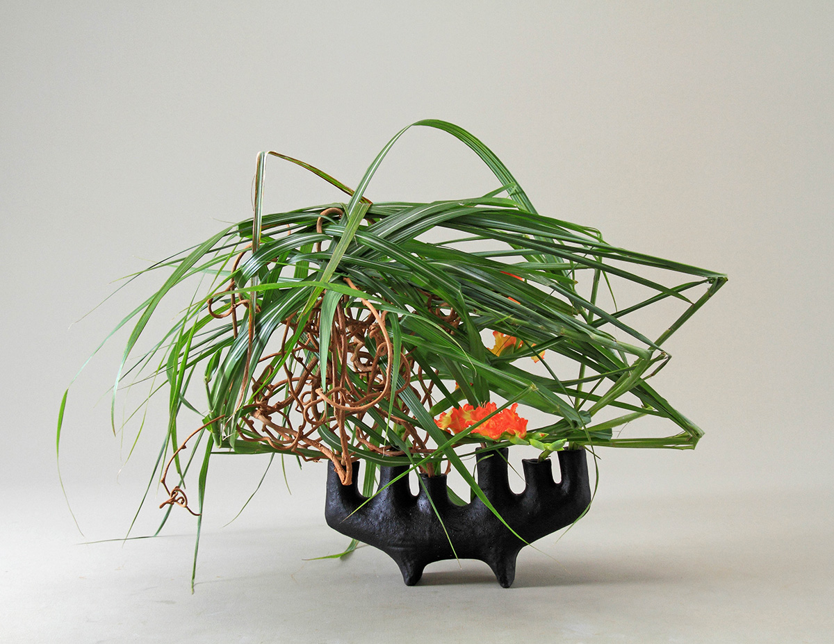 Kosen Ohtsubo《Sleeping Zebra Grass》(2016)