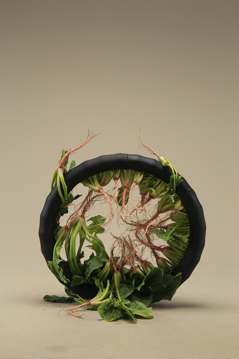 Kosen Ohtsubo《Cycling Spinach》(2018)