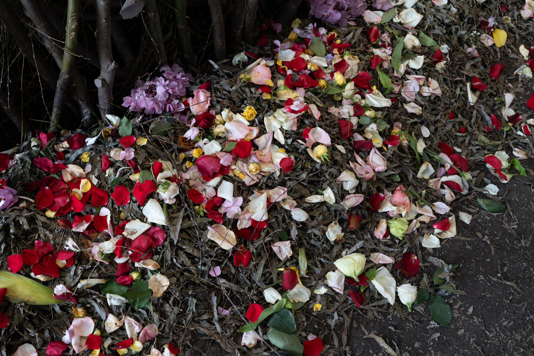 大坪光泉《リンガ上海》2025（第15回上海ビエンナーレ） / Kosen Ohtsubo “Linga Shanghai” 2025 (15th Shanghai Biennale)