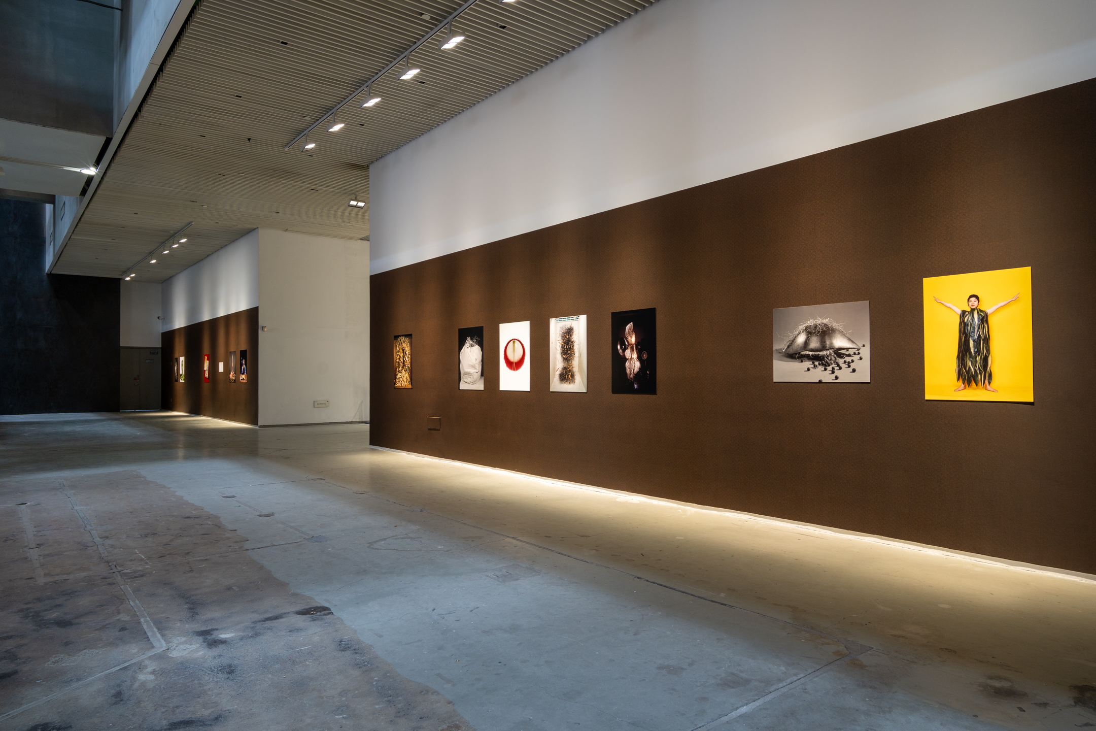 大坪光泉アーカイブ写真展示（第15回上海ビエンナーレ） / Kosen Ohtsubo Photographic Archive presented by Christian Kōun Alborz Oldham (15th Shanghai Biennale)